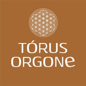 WhatsApp-Image-2025-08-26-at-16.24.02